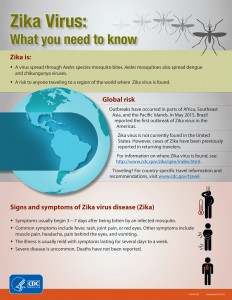 zika virus prevention